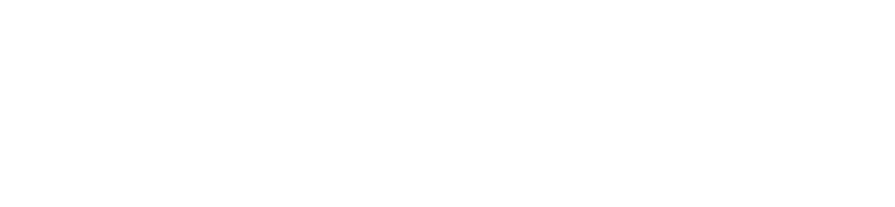 Fortesul